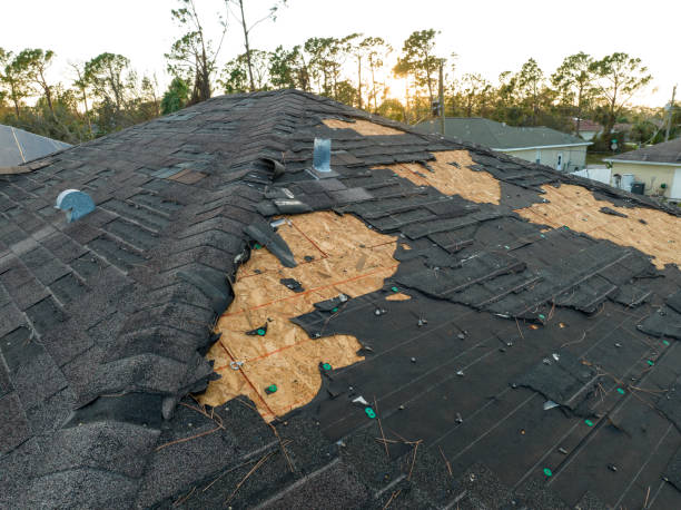 Best Roof Leak Repair  in Ridgeville, SC