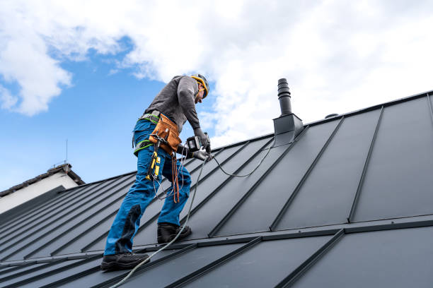 Best Gutter Installation and Repair  in Ridgeville, SC